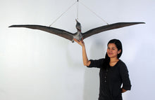 Load image into Gallery viewer, BABY PTERANODON FLYING - JR 110062
