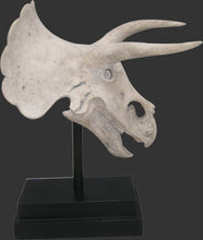 Load image into Gallery viewer, TRICERATOPS SKULL ON BASE - JR 080046RS
