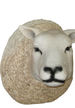 Load image into Gallery viewer, TEXELAAR SHEEP HEAD - JR 0028
