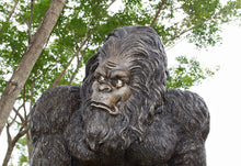 Load image into Gallery viewer, BIG FOOT -THE GARDEN YETI - JR 110119
