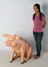 Load image into Gallery viewer, LARGE PIG JR 020505
