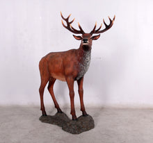 Load image into Gallery viewer, RED DEER STAG ON BASE JR 130058
