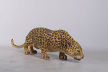 Load image into Gallery viewer, LEOPARD JR 080110-L
