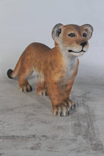 Load image into Gallery viewer, LION CUB -STANDING -JR 080117
