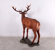 Load image into Gallery viewer, RED DEER STAG ON BASE JR 130058
