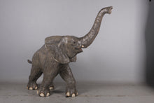 Load image into Gallery viewer, WALKING BABY ELEPHANT JR 090026
