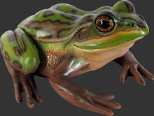 Load image into Gallery viewer, GREEN AND GOLDEN BELL FROG -JR 100003
