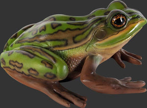 GREEN AND GOLDEN BELL FROG -JR 100003
