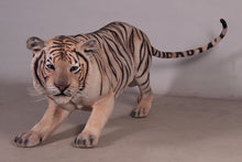 Load image into Gallery viewer, SIBERIAN TIGER JR 100016

