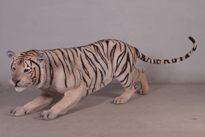SIBERIAN TIGER JR 100016