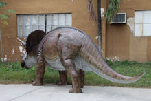Load image into Gallery viewer, TRICERATOPS -JR 100048
