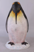 Load image into Gallery viewer, PENGUIN KING -HEAD DOWN JR 100054
