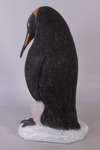 Load image into Gallery viewer, PENGUIN KING -HEAD DOWN JR 100054
