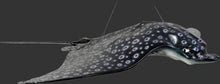 Load image into Gallery viewer, Spotted Eagle Ray (JR 100060)
