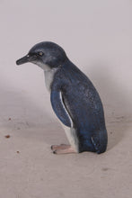 Load image into Gallery viewer, FAIRY PENGUIN JR-100066
