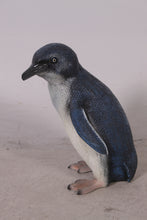 Load image into Gallery viewer, FAIRY PENGUIN JR-100066
