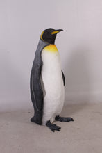 Load image into Gallery viewer, KING PENGUIN -HEAD UP JR 100068
