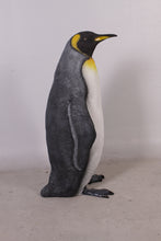 Load image into Gallery viewer, KING PENGUIN -HEAD UP JR 100068

