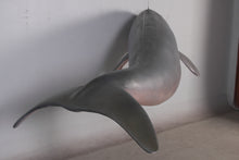 Load image into Gallery viewer, DUGONG - HANGING JR 100127
