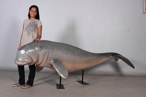 DUGONG ON STAND JR 100128