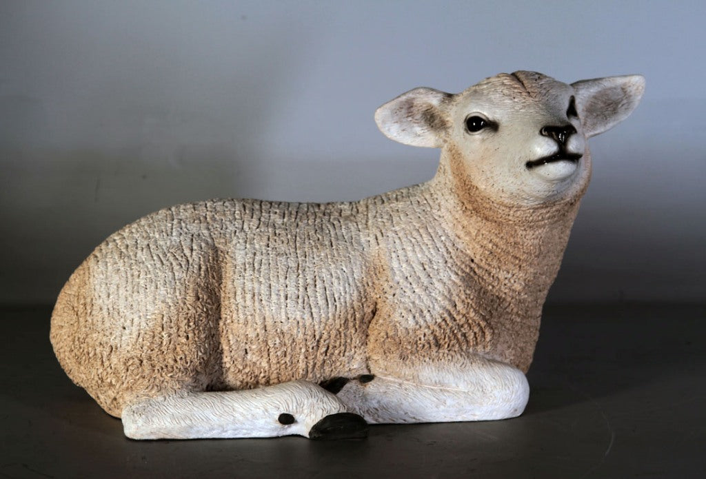 Texelaar Lamb Resting- JR 110034W