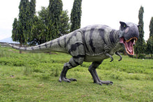 Load image into Gallery viewer, T-REX WALIKING STANCE - JR 110073

