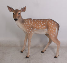 Load image into Gallery viewer, FALLOW DEER FAWN JR 110108
