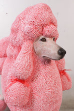 Load image into Gallery viewer, Poodle Dog - JR 110121
