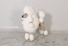 Load image into Gallery viewer, Poodle Dog - JR 110121
