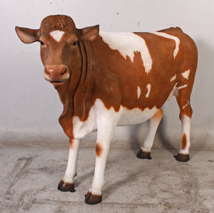 GUERNSEY COW JR 120003