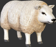 Load image into Gallery viewer, TEXELAAR SHEEP HEAD UP - SMALL - JR 120021
