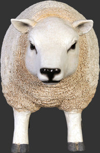 TEXELAAR SHEEP HEAD UP - SMALL - JR 120021