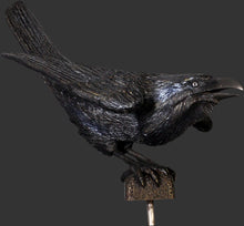 Load image into Gallery viewer, RAVEN - WINGS UP - JR 120033
