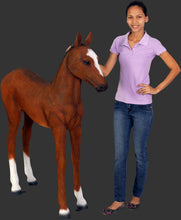 Load image into Gallery viewer, FOAL - JR 120043

