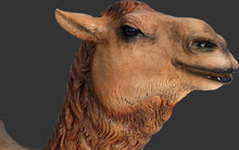 Load image into Gallery viewer, CAMEL DROMEDARY JR 120052
