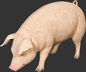 FAT PIG - JR 120073