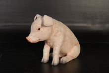 Load image into Gallery viewer, BABY PIGLET SITTING JR 120074
