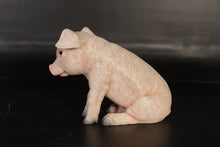 Load image into Gallery viewer, BABY PIGLET SITTING JR 120074
