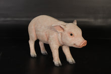 Load image into Gallery viewer, STANDING PIGLET JR 120075
