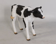 Load image into Gallery viewer, NEW BORN CALF JR 120076
