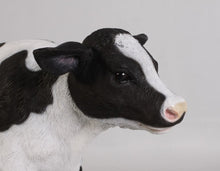 Load image into Gallery viewer, NEW BORN CALF JR 120076
