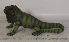Load image into Gallery viewer, IGUANA -4FT - JR 120080
