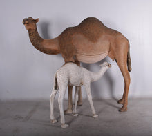 Load image into Gallery viewer, DROMEDARY CAMEL JR 130007
