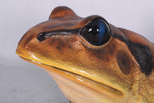 Load image into Gallery viewer, GREAT BARRED FROG - JR 130060
