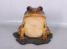 Load image into Gallery viewer, GREAT BARRED FROG - JR 130060
