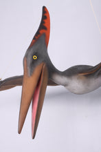Load image into Gallery viewer, PTERANODON 10FT JR 140025

