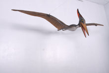 Load image into Gallery viewer, PTERANODON 10FT JR 140025
