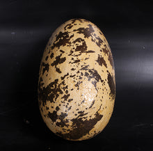 Load image into Gallery viewer, THEROPOD EGG 9&quot; JR 140030
