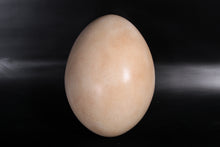 Load image into Gallery viewer, SAUROPOD EGG 12INCH - JR 140033
