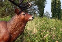 Load image into Gallery viewer, MAJESTIC RED DEER STAG JR 140044
